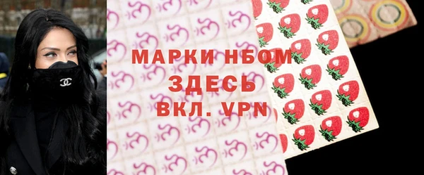 прущие грибы Каменка