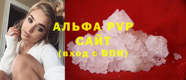 прущие грибы Каменка