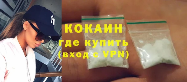 прущие грибы Каменка
