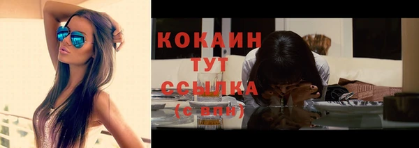 прущие грибы Каменка