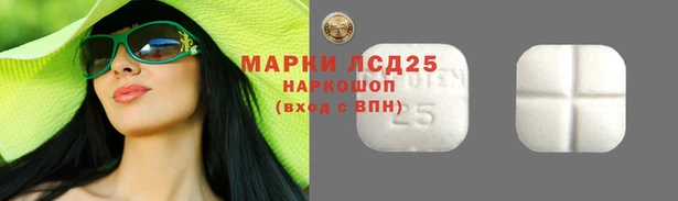 мдпв Инта