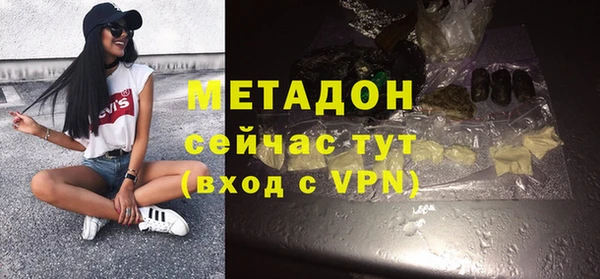 прущие грибы Каменка