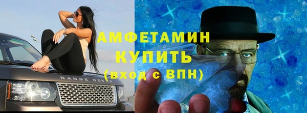 прущие грибы Каменка