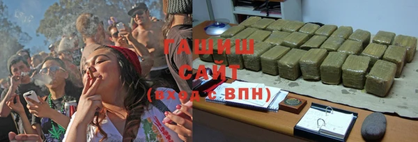сатива Иннополис