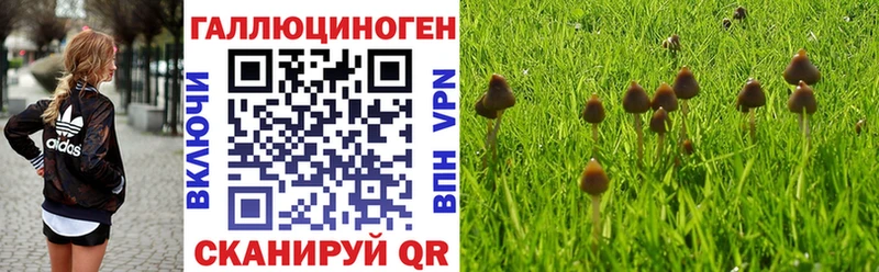 Галлюциногенные грибы Magic Shrooms  Купить закладки  Поворино 