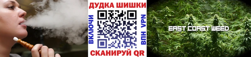 Купить закладки  Поворино  Канабис сатива 